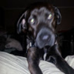 Meet your Posher, Vinny